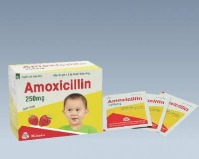 Thuốc kháng sinh Amoxicillin (hộp 30 gói)