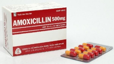 Thuốc kháng sinh Amoxicillin 500 mg (hộp 100 viên nang)