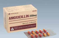 Thuốc kháng sinh Amoxicillin 250 mg (hộp 100 viên nang)