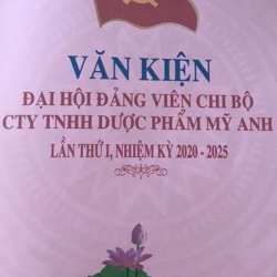 Đại Hội Đảng Viên Chi Bộ Công Ty TNHH Dược Phẩm Mỹ Anh Lần Thứ 1